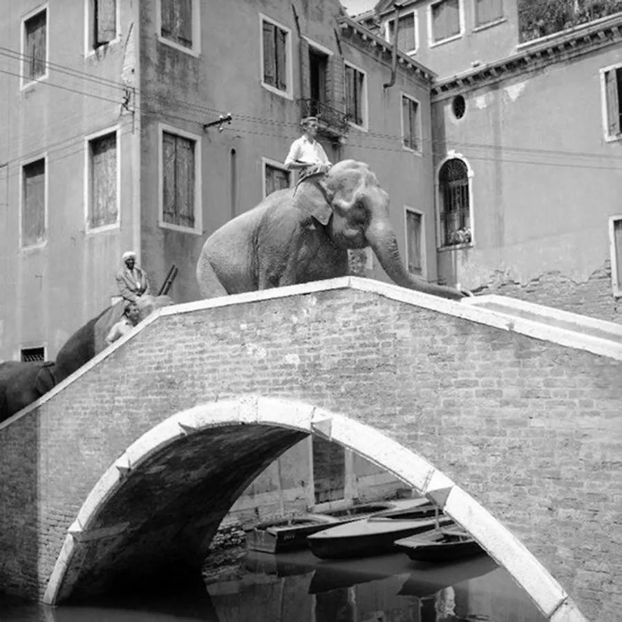 Ca' Circus 4 Rooms Wi-Fi Fibre Venise